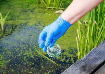 Can agricultural waste alleviate the pulp and paper industry's water crisis?